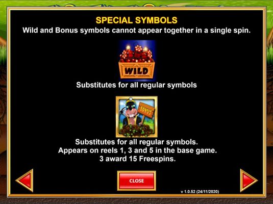 Wild Symbol Rules