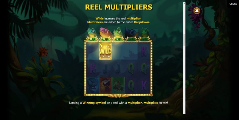 Reel Multipliers