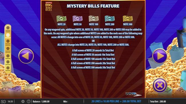 Mystery Bill Feature
