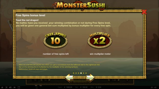 Free Spins Bonus Level Rules