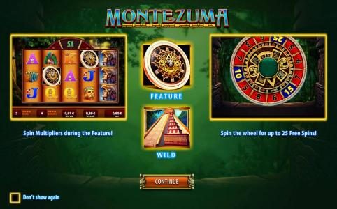This game feature spin multipliers during the feature and spin the wheel for up to 25 free spins
