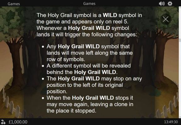 Wild Symbol Rules