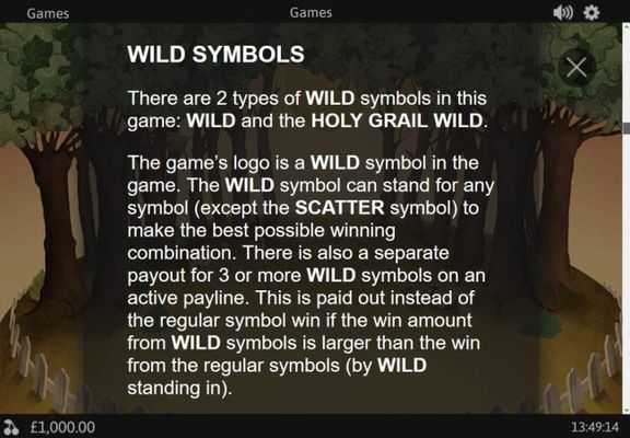 Wild Symbol Rules