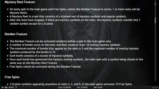 Mystery Feature and Bomber Feature Rules.