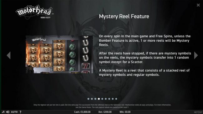 Mystery Reel Feature - On every spin in the main game and free spins, unless the Bomber feature is active, 1 or more reels will be mystery reels.