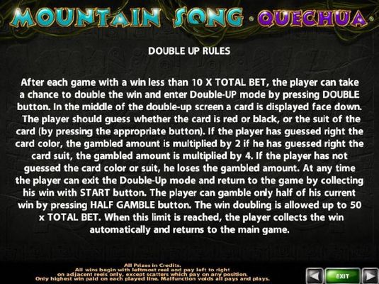 Double Up Gamble Feature Rules