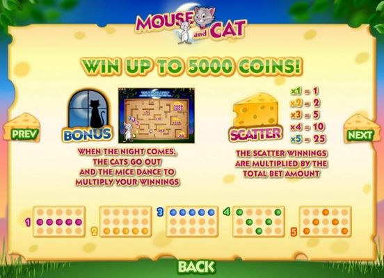 Win up to 5000 coins! Bonus and Scatter symbol Rules
