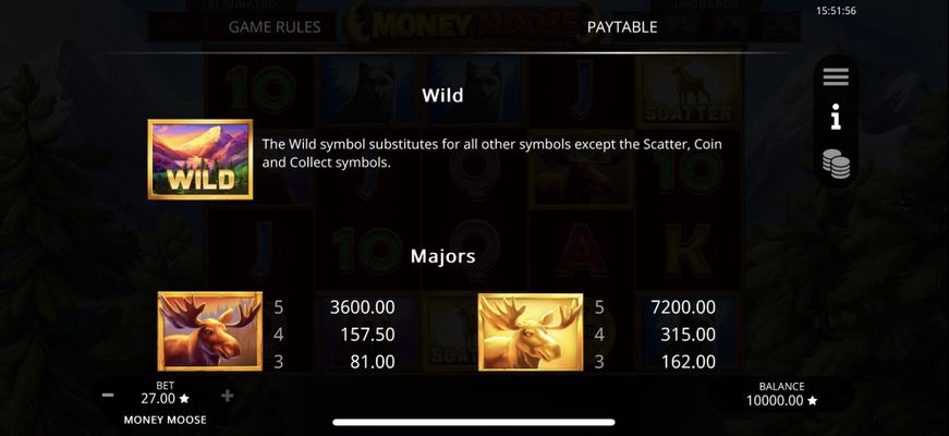 Wild Symbol