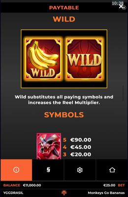 Wild Symbol