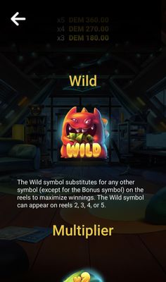 Wild Symbol