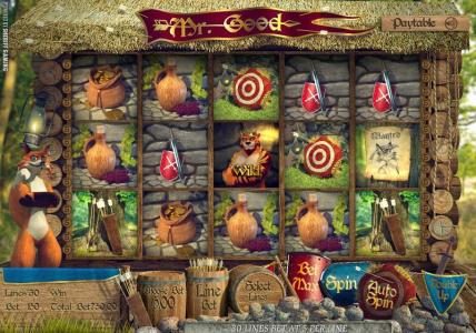 main game board featuring five reels, thirty paylines and a double up feature
