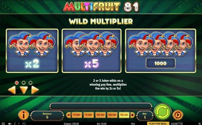Wild Multipliers - 2 or 3 joker wilds on a winning payline, multiplies the win by 2x or 5x!