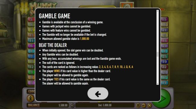 Double Up Gamble Feature Rules