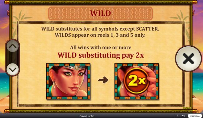 Wild Symbol Rules