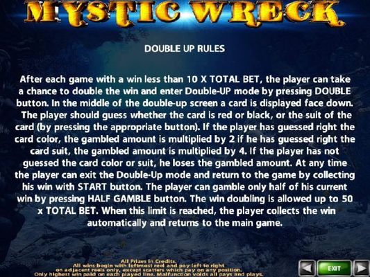 Double Up Gamble Feature Rules