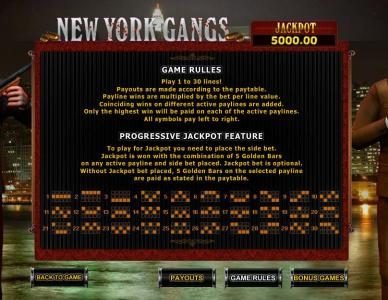 game rules, progressive jackpot rules and payline diagrams