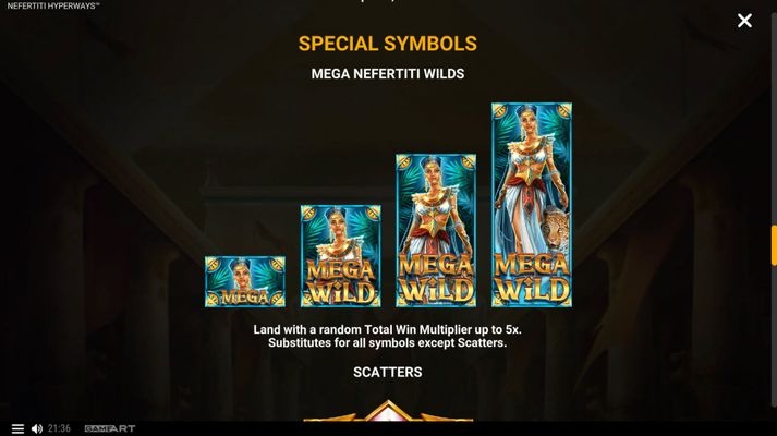 Wild Symbol