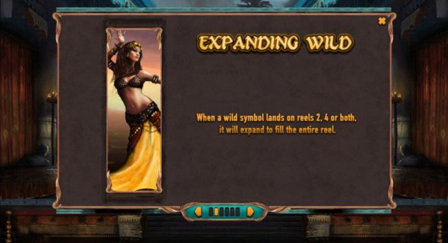 Expanding Wild - When wild symbol lands on reels 2, 4 or both, it will expand to fill the entire reel.