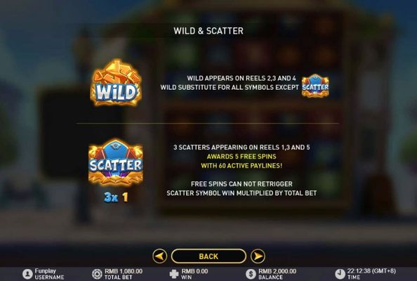 Wild and Scatter Rules