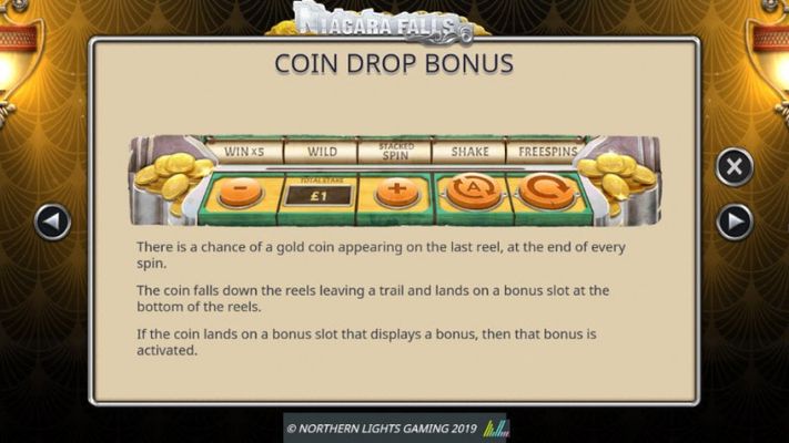 Niagara Falls :: Coin Drop Bonus