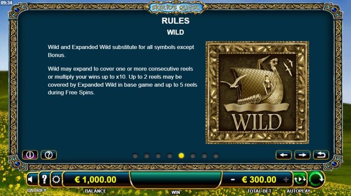 Wild Symbols Rules