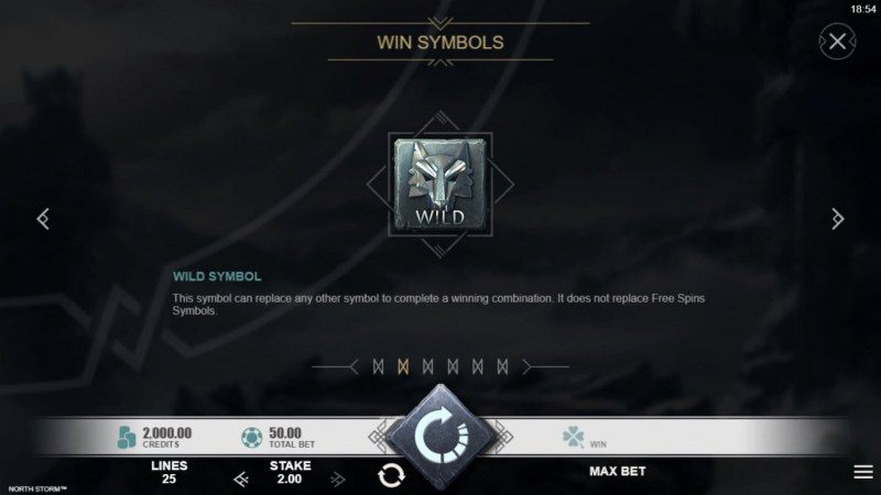 Wild Symbols Rules