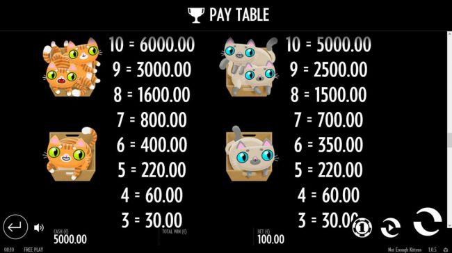 Medium Value Slot Game Symbols Paytable