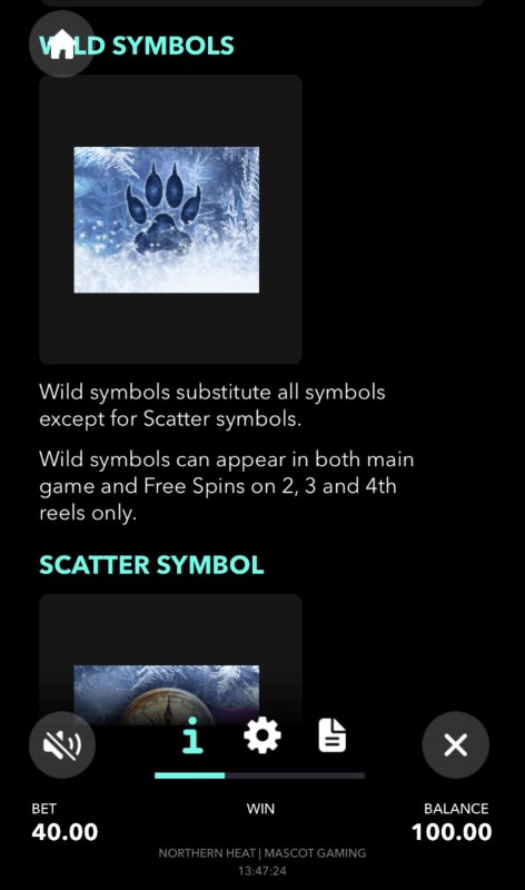 Wild Symbol