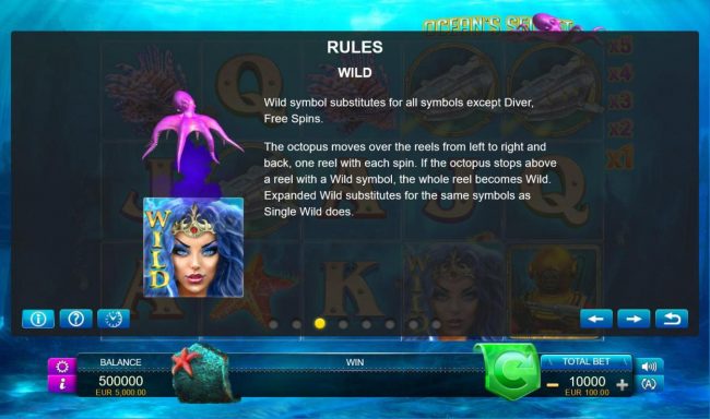 Wild Symbol Rules