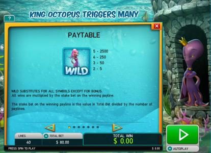 Wild symbol paytable