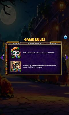 Wild and Scatter Rules