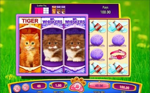 Three named kitten symbols triggers payout