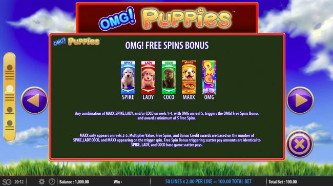 Free Spins Rules