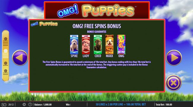 Free Spins Rules