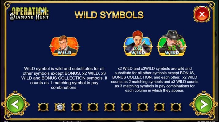 Wild Symbols Rules