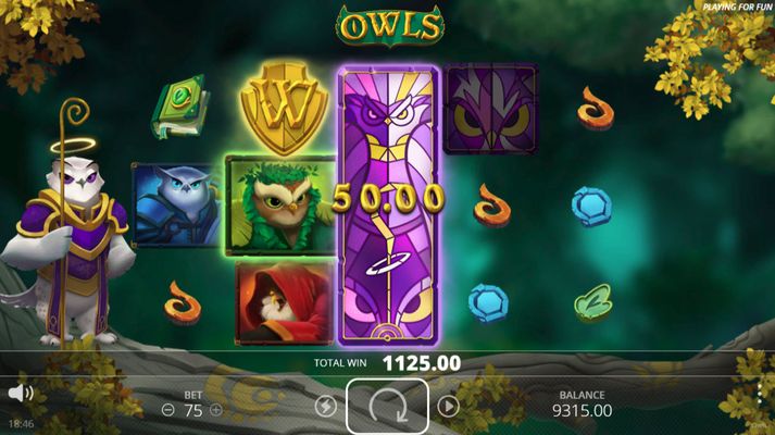 Owls :: Multiple winning combinations