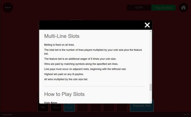 Multi-Line Slots Rules