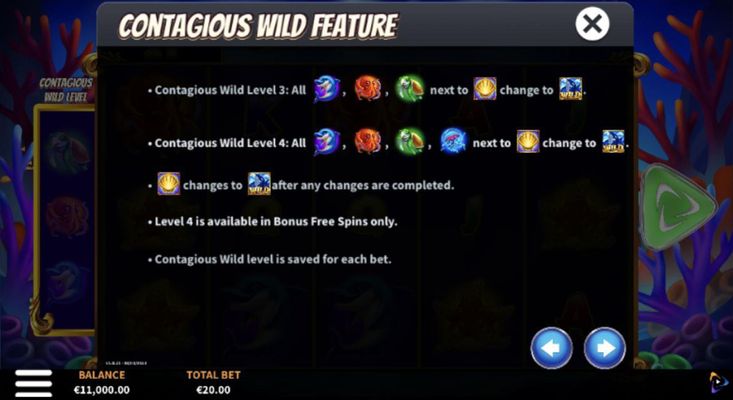 Feature Rules