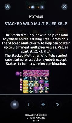 Stacked Wild Multiplier