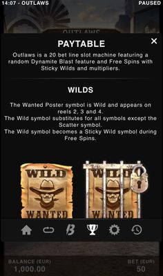 Wild Symbol