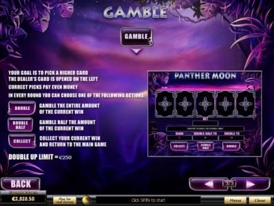 Gamble Feature Games Rules