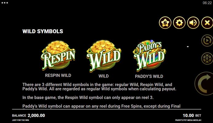 Wild Symbol