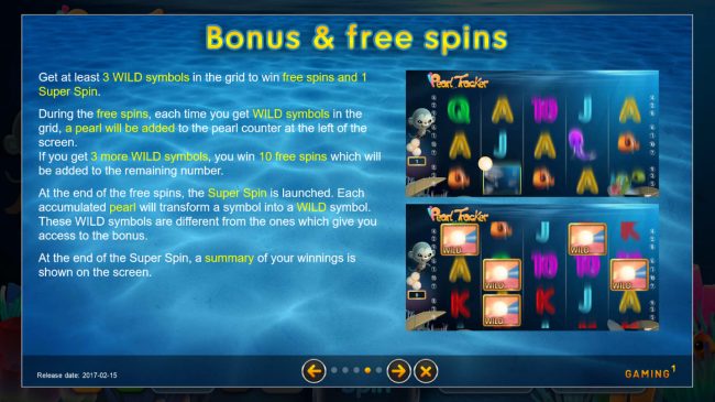 Bonus and Free Spins