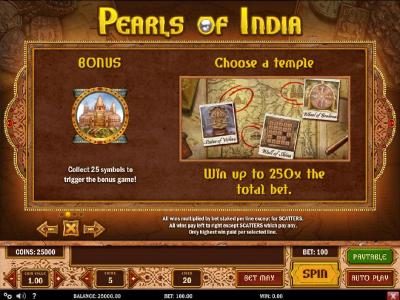 Bonus game rules and how to play. Win up to 250x the total bet.