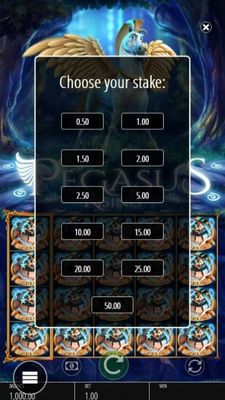 Choose your stake