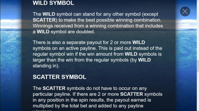 Wild Symbol Game Rules