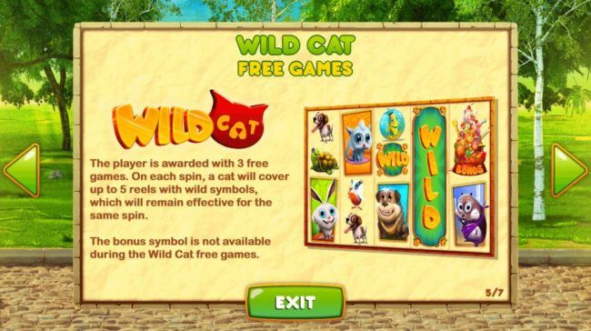 Wild Cat Free Games Rules