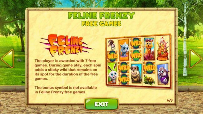 Feline Frenzy Rules