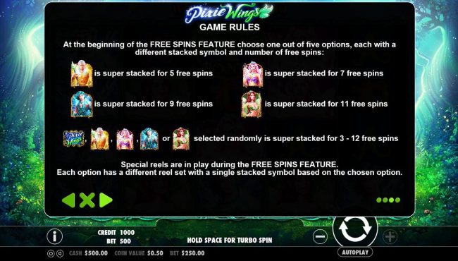 Free Spins Feature Rules