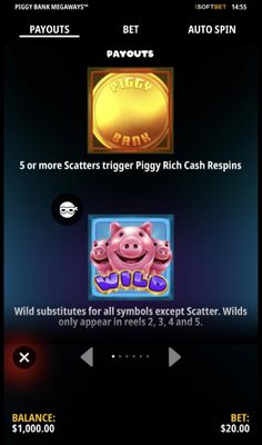 Wild and Scatter Rules